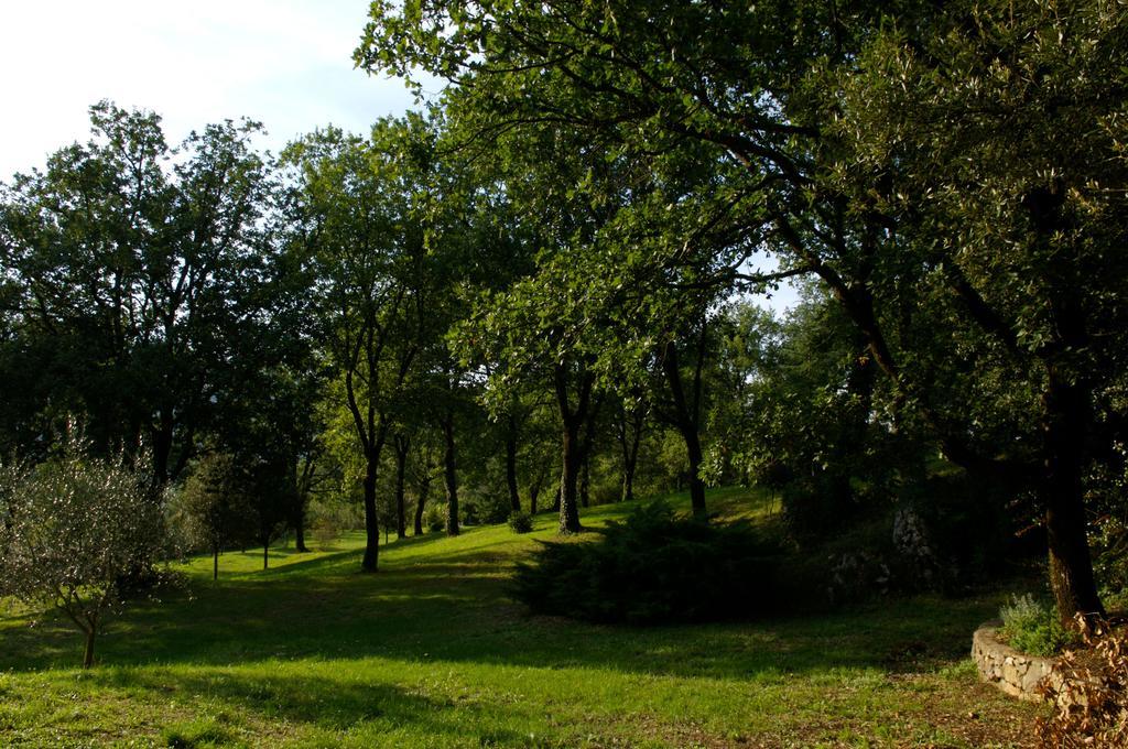 La Colonna Bed and Breakfast Montelanico Εξωτερικό φωτογραφία