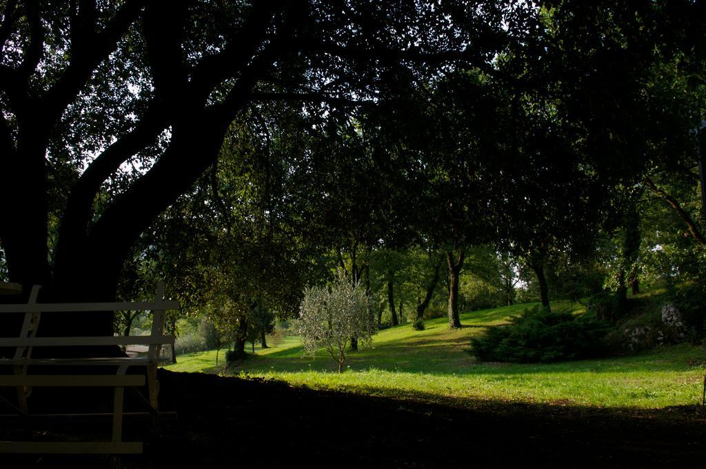 La Colonna Bed and Breakfast Montelanico Εξωτερικό φωτογραφία
